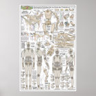 Marionette Building Plans