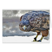 Mariposa (Front Horizontal)