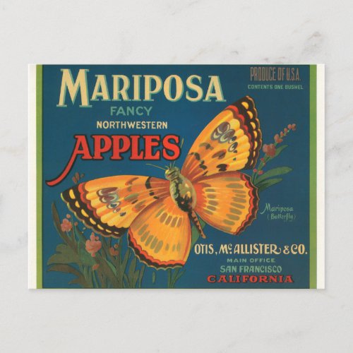 Mariposa Apples Postcard