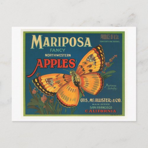 Mariposa Brand Apples Vintage Crate Label _ Butter Postcard