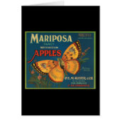 Mariposa Fancy Northwestern Apples (Front)