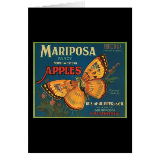 Mariposa Fancy Northwestern Apples (Front)