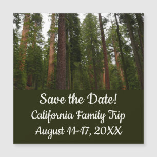 Mariposa Grove in Yosemite National Park