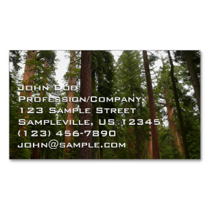Mariposa Grove in Yosemite National Park Business Card Magnet