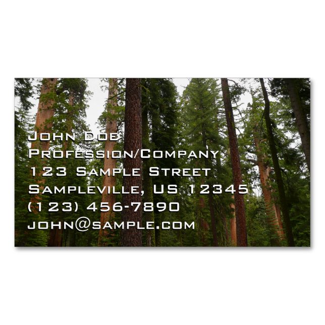 Mariposa Grove in Yosemite National Park Business Card Magnet (Front)