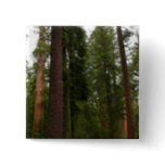 Mariposa Grove in Yosemite National Park Button