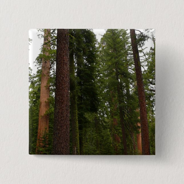 Mariposa Grove in Yosemite National Park Button (Front)