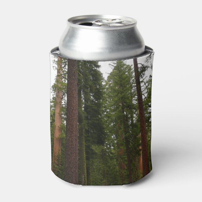 Mariposa Grove in Yosemite National Park Can Cooler (Can Front)