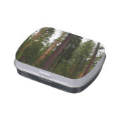 Mariposa Grove in Yosemite National Park Candy Tin (Side)