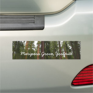 Mariposa Grove in Yosemite National Park Car Magnet