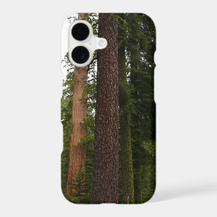 Mariposa Grove in Yosemite National Park iPhone 17 Case