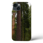Mariposa Grove in Yosemite National Park iPhone 13 Case