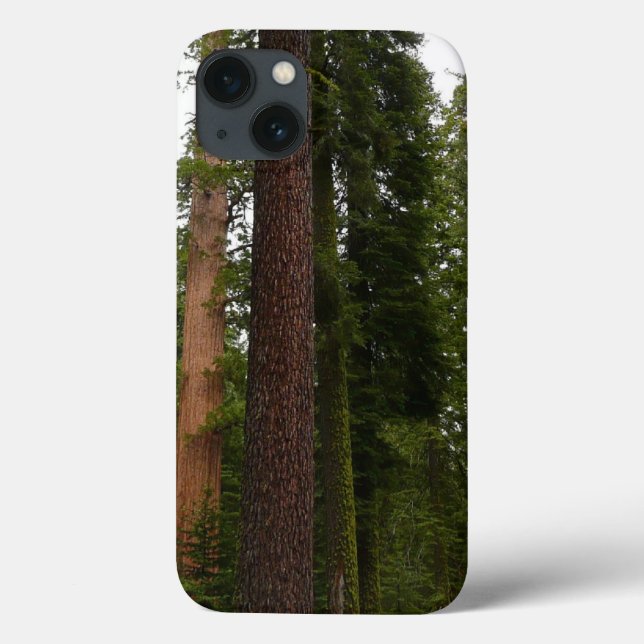 Mariposa Grove in Yosemite National Park Case-Mate iPhone Case (Back)
