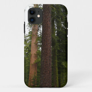 Mariposa Grove in Yosemite National Park iPhone 11 Case