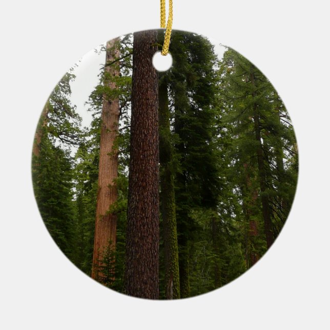 Mariposa Grove in Yosemite National Park Ceramic Ornament (Front)