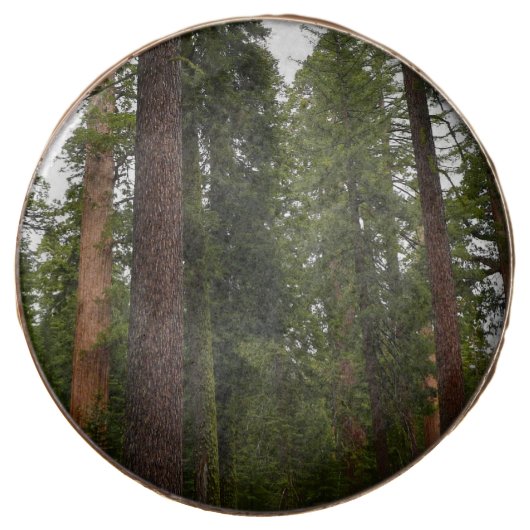 Mariposa Grove in Yosemite National Park Chocolate Covered Oreo (Front)