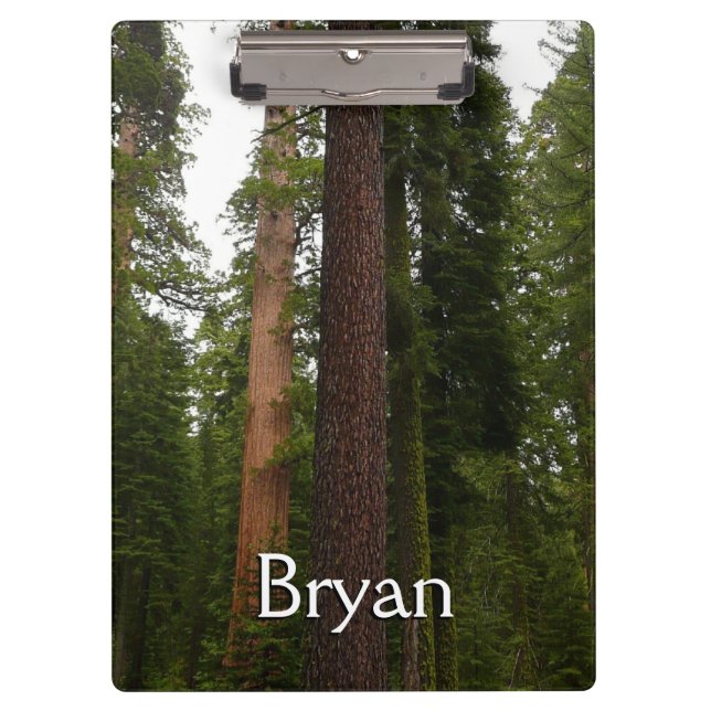 Mariposa Grove in Yosemite National Park Clipboard (Front)