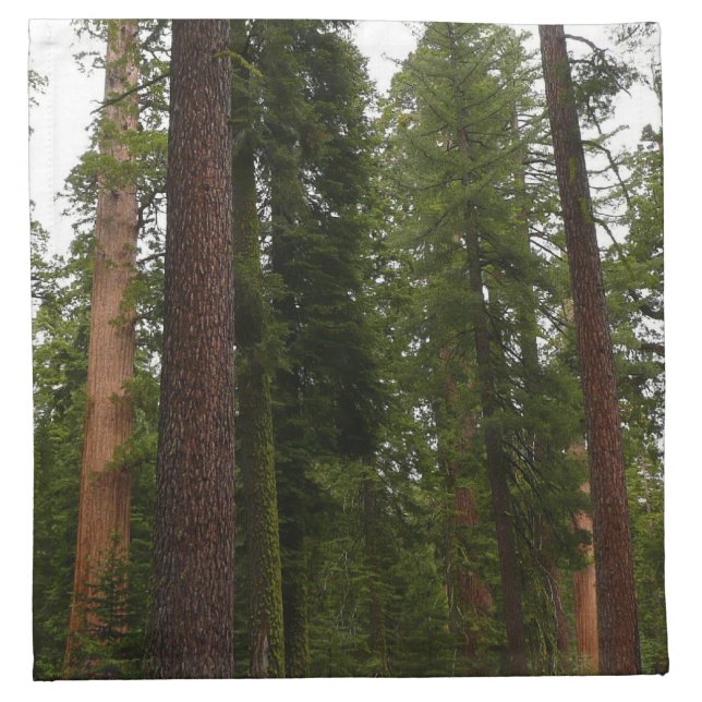 Mariposa Grove in Yosemite National Park Cloth Napkin (Front)