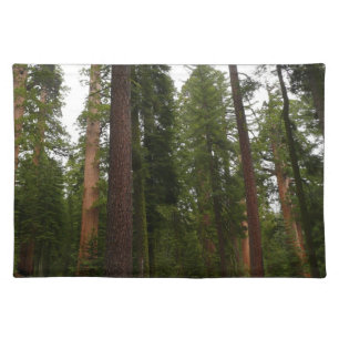 Mariposa Grove in Yosemite National Park Cloth Placemat