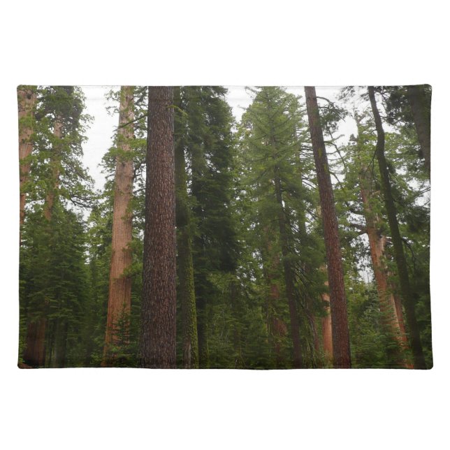 Mariposa Grove in Yosemite National Park Cloth Placemat (Front)