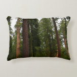 Mariposa Grove in Yosemite National Park Decorative Pillow