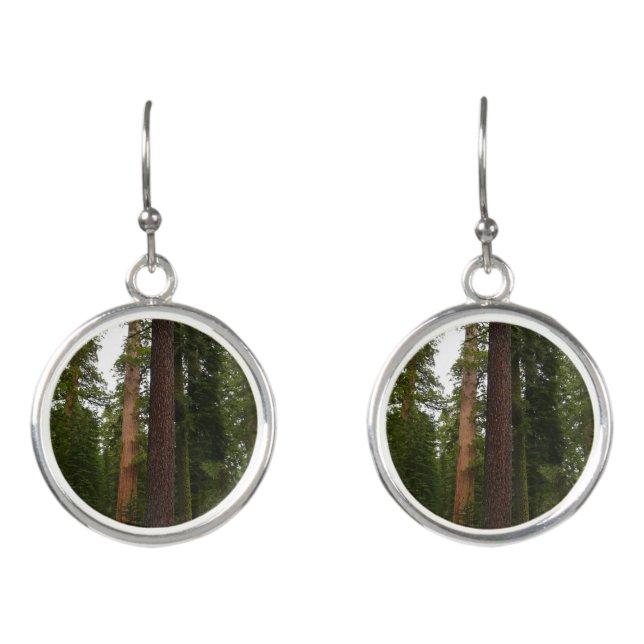 Mariposa Grove in Yosemite National Park Earrings (Front)