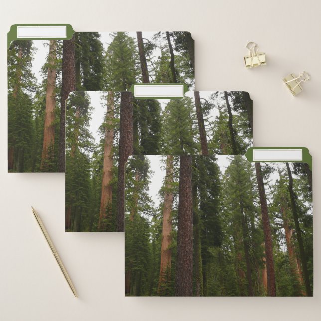 Mariposa Grove in Yosemite National Park File Folder (Set)