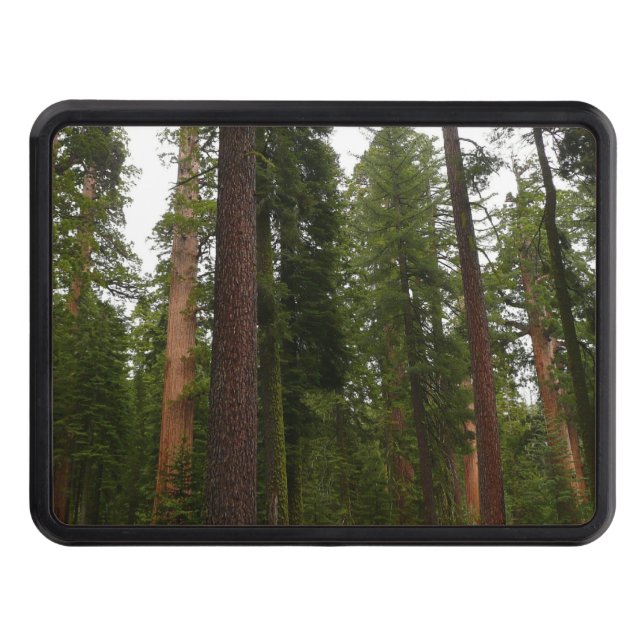 Mariposa Grove in Yosemite National Park Hitch Cover (Front)