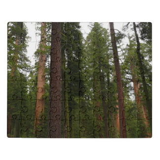 Mariposa Grove in Yosemite National Park Jigsaw Puzzle