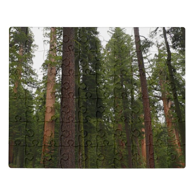 Mariposa Grove in Yosemite National Park Jigsaw Puzzle (Puzzle Horizontal)