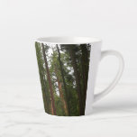 Mariposa Grove in Yosemite National Park Latte Mug