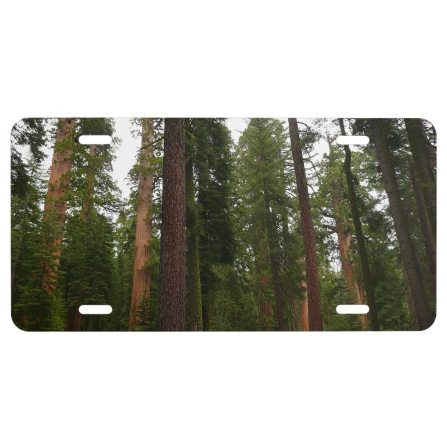 Mariposa Grove in Yosemite National Park License Plate (Front)