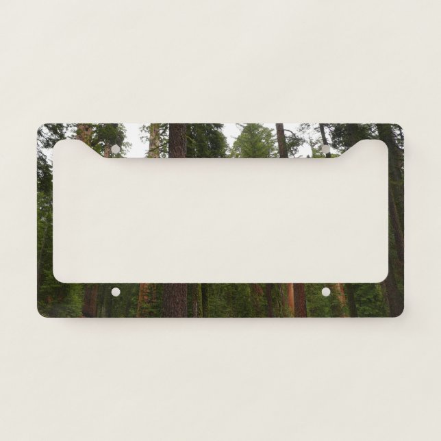 Mariposa Grove in Yosemite National Park License Plate Frame (Front)