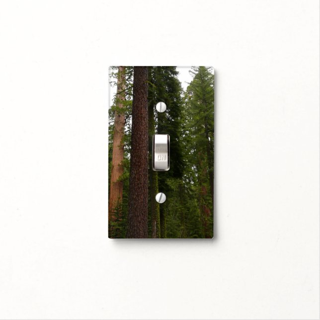 Mariposa Grove in Yosemite National Park Light Switch Cover (In Situ)