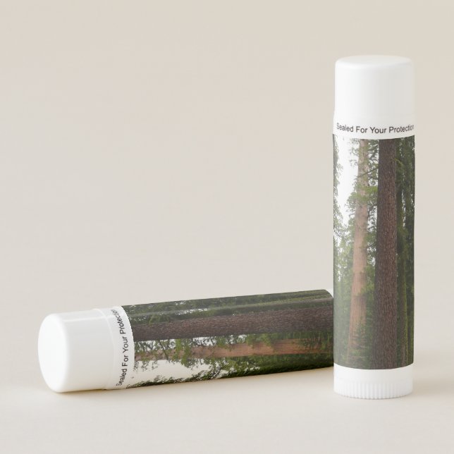 Mariposa Grove in Yosemite National Park Lip Balm (Front)