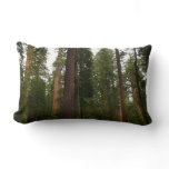 Mariposa Grove in Yosemite National Park Lumbar Pillow