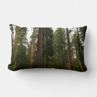 Mariposa Grove in Yosemite National Park Lumbar Pillow