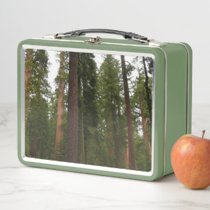 Mariposa Grove in Yosemite National Park Metal Lunch Box