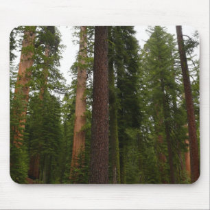 Mariposa Grove in Yosemite National Park Mouse Pad