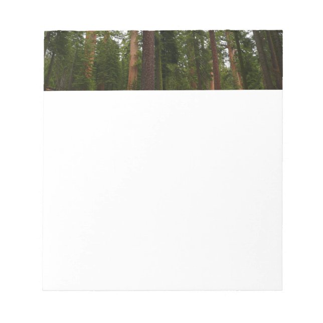 Mariposa Grove in Yosemite National Park Notepad (Front)