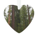 Mariposa Grove in Yosemite National Park Ornament