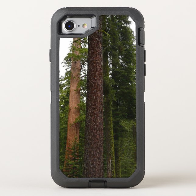 Mariposa Grove in Yosemite National Park Otterbox iPhone Case (Back)