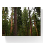 Mariposa Grove in Yosemite National Park Paperweight