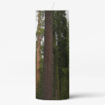 Mariposa Grove in Yosemite National Park Pillar Candle
