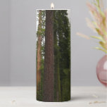 Mariposa Grove in Yosemite National Park Pillar Candle