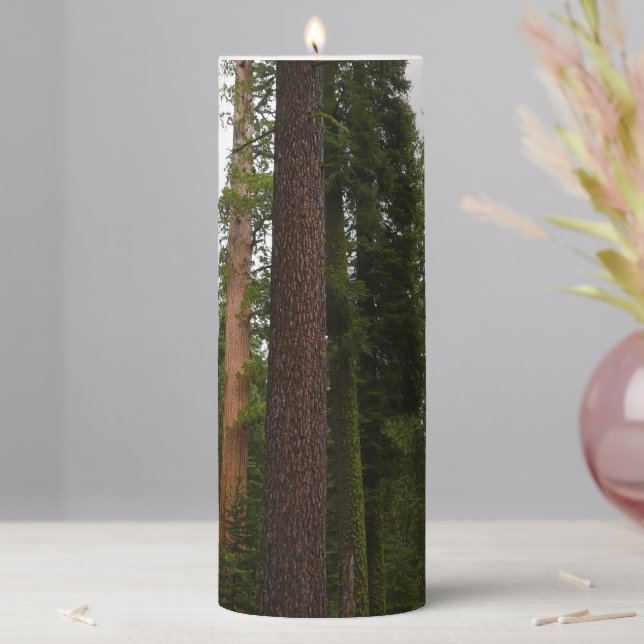Mariposa Grove in Yosemite National Park Pillar Candle (In Situ)