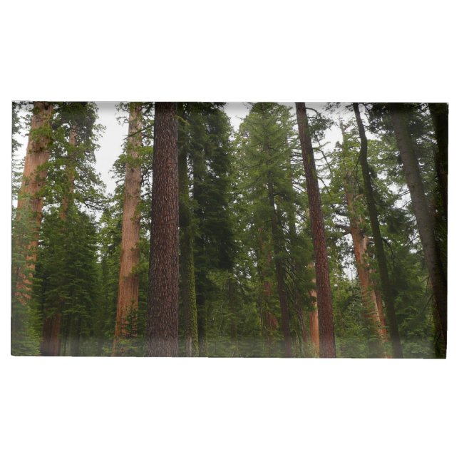 Mariposa Grove in Yosemite National Park Place Card Holder (Front)