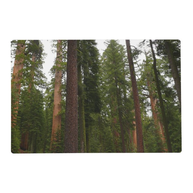 Mariposa Grove in Yosemite National Park Placemat (Front)