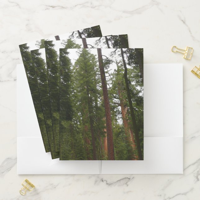 Mariposa Grove in Yosemite National Park Pocket Folder (In Situ)