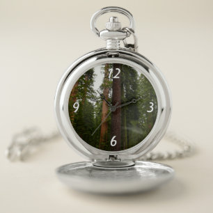 Mariposa Grove in Yosemite National Park Pocket Watch
